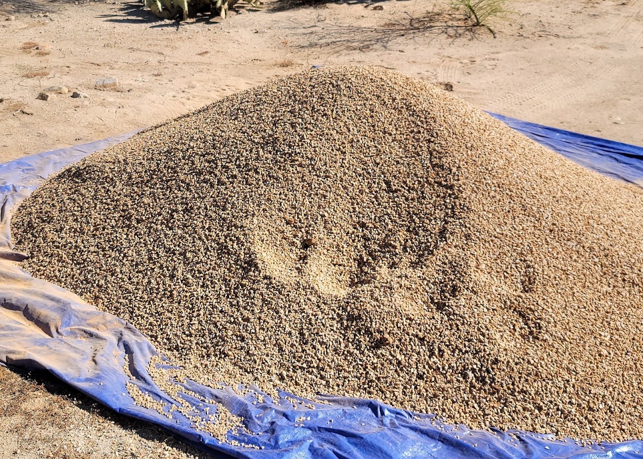 Sonoran Landscaping Materials project